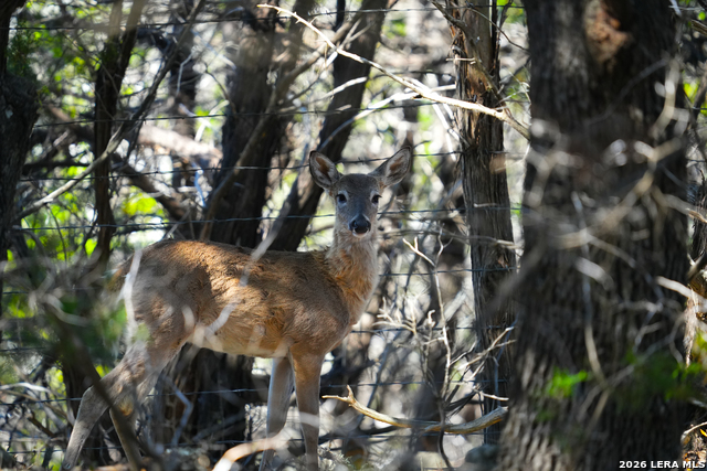 Image 43 of 65 For 713 Lake Forest Rd.