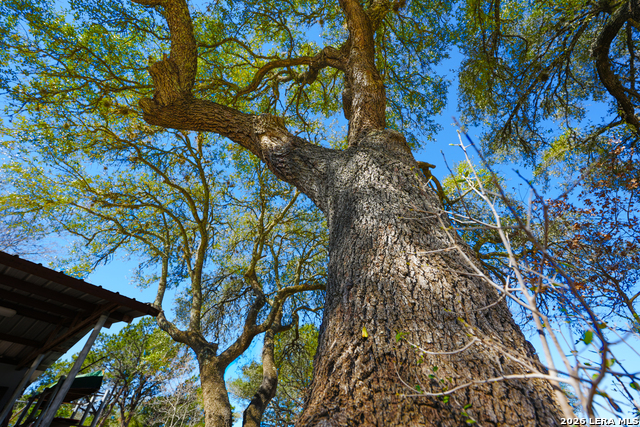 Image 44 of 65 For 713 Lake Forest Rd.