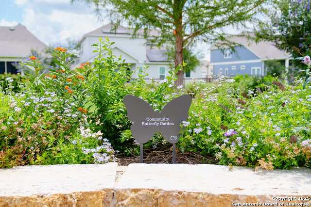 Image 19 of 24 For 12375 Lost Petal