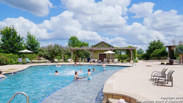 Image 5 of 8 For 12119 Secret Vine