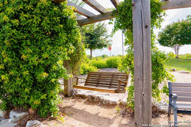 Image 6 of 8 For 12119 Secret Vine