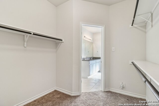 Image 28 of 53 For 22018 Backspin