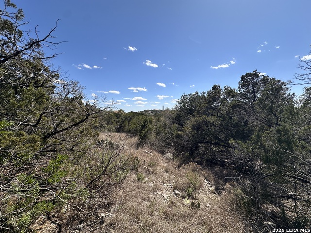 Details for 15669 Vista Grande, Helotes, TX 78023