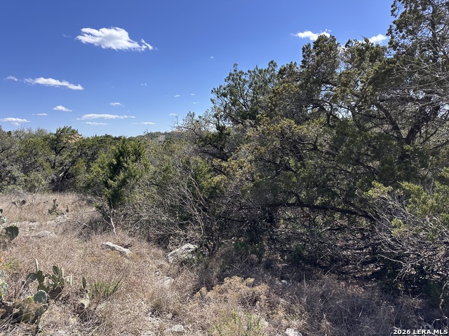 Image 8 of 12 For 15669 Vista Grande