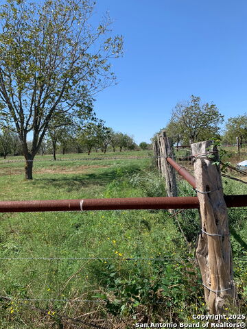 Image 14 of 21 For 263 Krams Creek