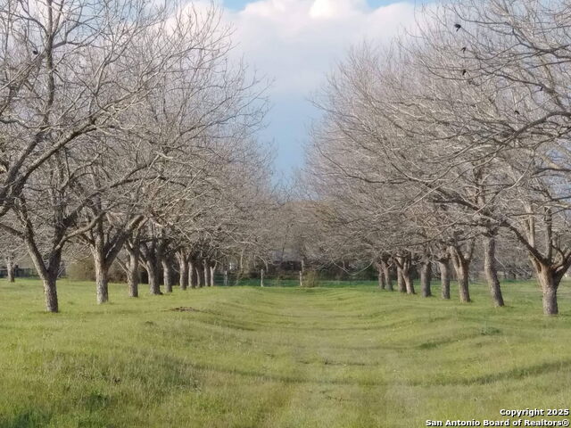 Image 18 of 21 For 263 Krams Creek