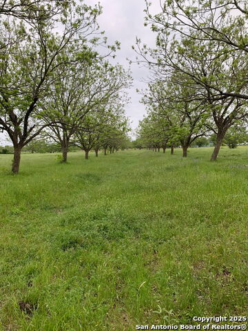 Image 8 of 21 For 263 Krams Creek