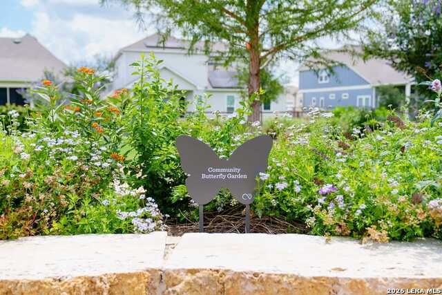 Image 13 of 16 For 12363 Lost Petal