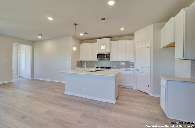 Image 2 of 20 For 849 Saltbush Street