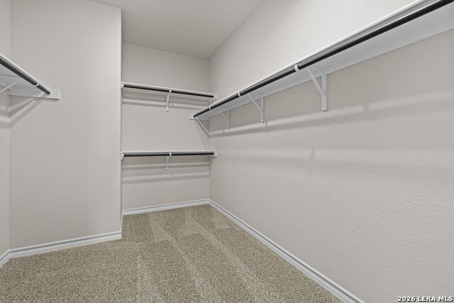 Image 14 of 30 For 130 Tawny Owl