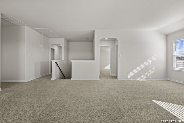 Image 16 of 30 For 130 Tawny Owl