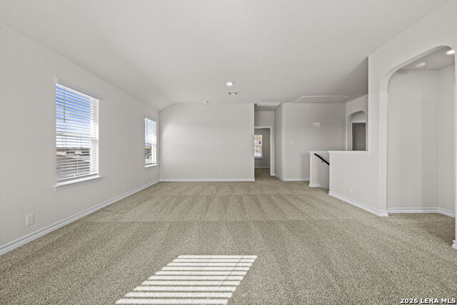 Image 17 of 30 For 130 Tawny Owl