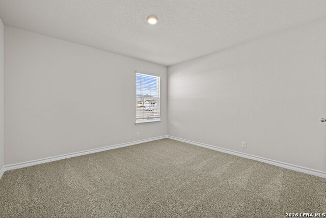 Image 22 of 30 For 130 Tawny Owl