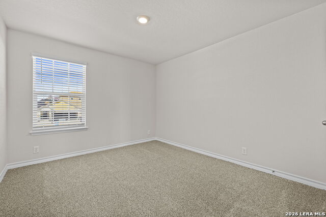 Image 24 of 30 For 130 Tawny Owl