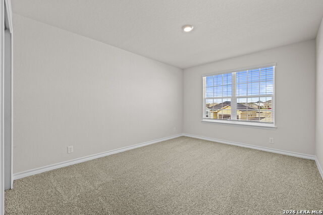 Image 26 of 30 For 130 Tawny Owl