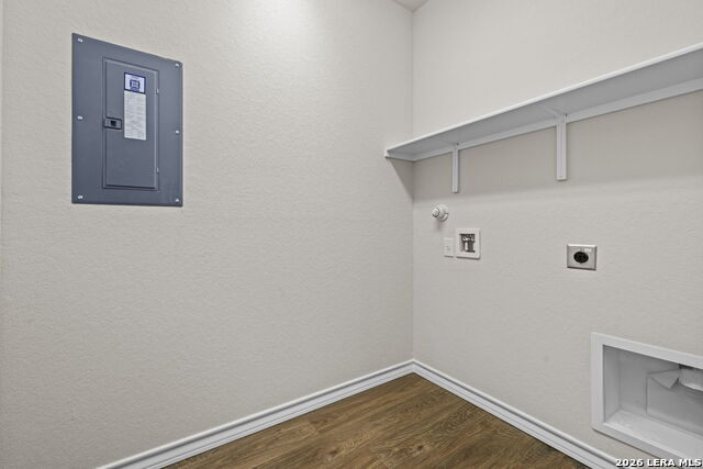 Image 4 of 30 For 130 Tawny Owl