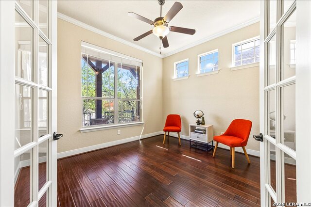 Image 11 of 74 For 3830 Ox-eye Daisy