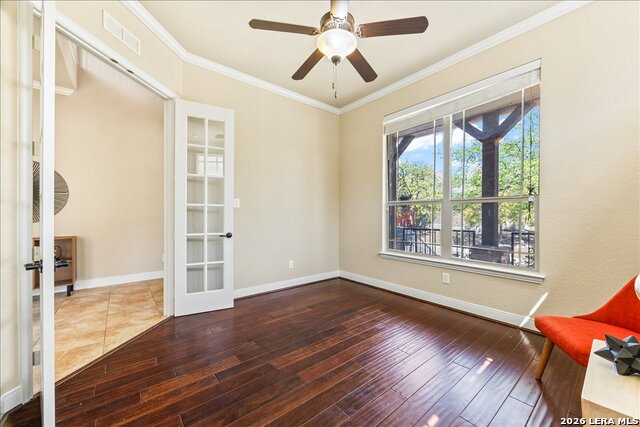 Image 12 of 74 For 3830 Ox-eye Daisy