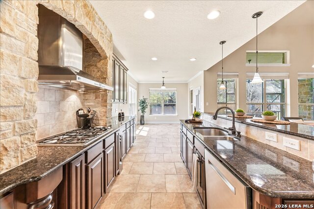 Image 23 of 74 For 3830 Ox-eye Daisy