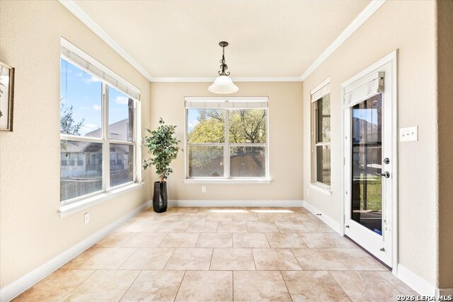 Image 27 of 74 For 3830 Ox-eye Daisy