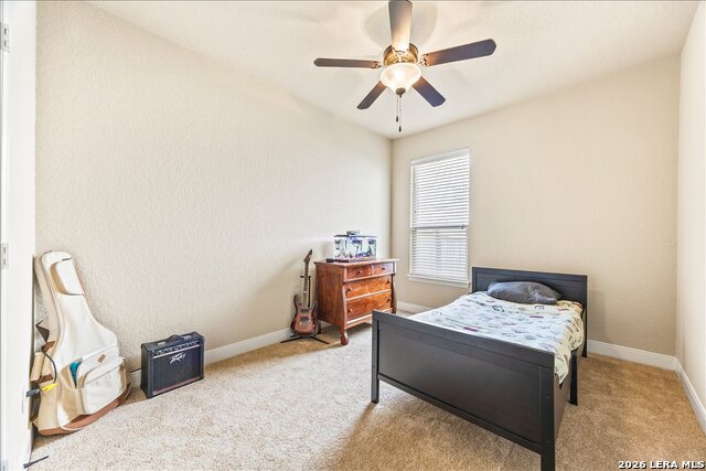 Image 37 of 74 For 3830 Ox-eye Daisy