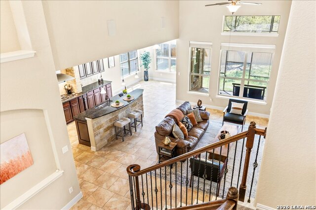 Image 40 of 74 For 3830 Ox-eye Daisy