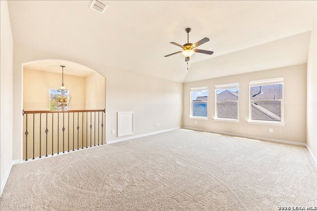 Image 41 of 74 For 3830 Ox-eye Daisy