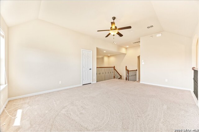 Image 42 of 74 For 3830 Ox-eye Daisy