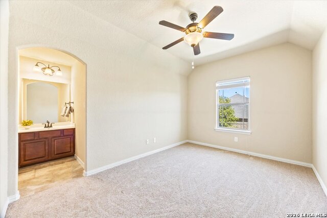 Image 43 of 74 For 3830 Ox-eye Daisy