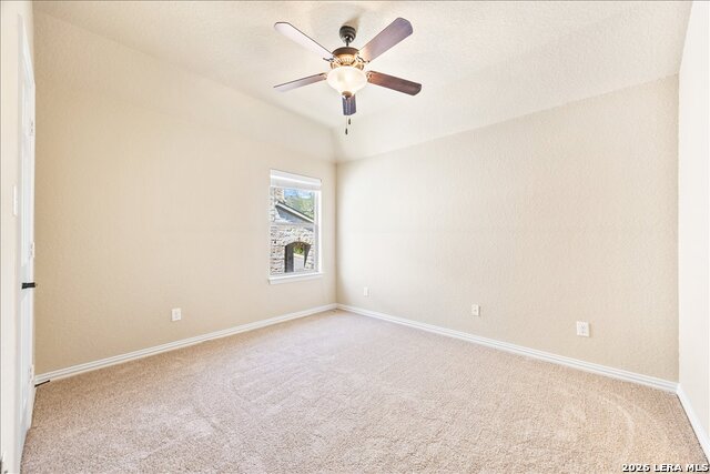 Image 45 of 74 For 3830 Ox-eye Daisy