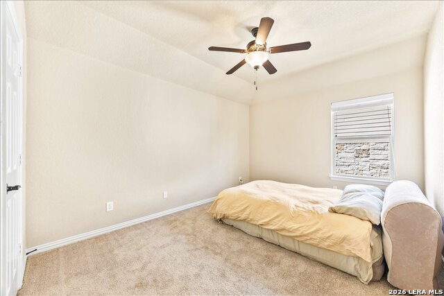 Image 47 of 74 For 3830 Ox-eye Daisy