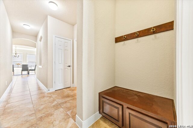 Image 49 of 74 For 3830 Ox-eye Daisy