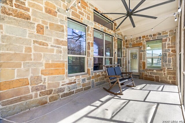 Image 51 of 74 For 3830 Ox-eye Daisy