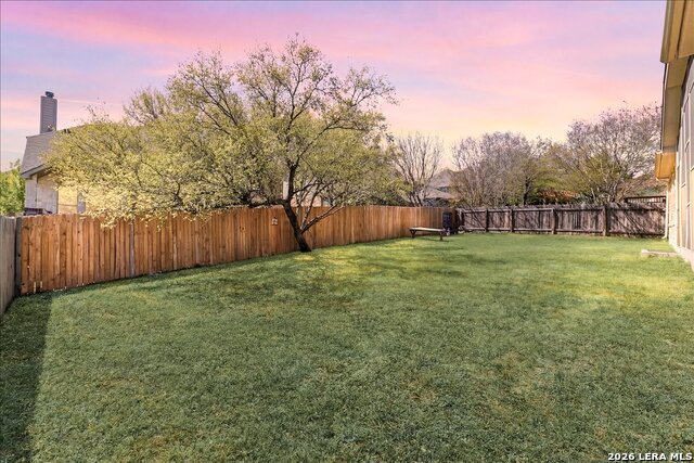 Image 53 of 74 For 3830 Ox-eye Daisy