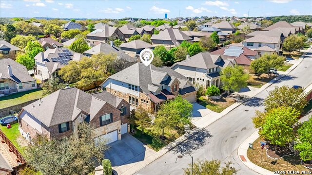 Image 58 of 74 For 3830 Ox-eye Daisy