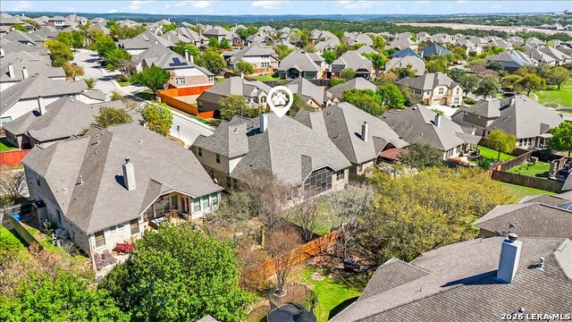Image 63 of 74 For 3830 Ox-eye Daisy