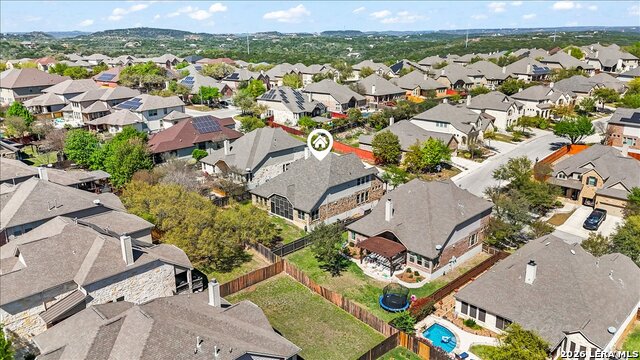 Image 64 of 74 For 3830 Ox-eye Daisy