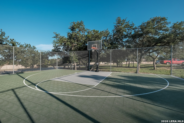 Image 68 of 74 For 3830 Ox-eye Daisy