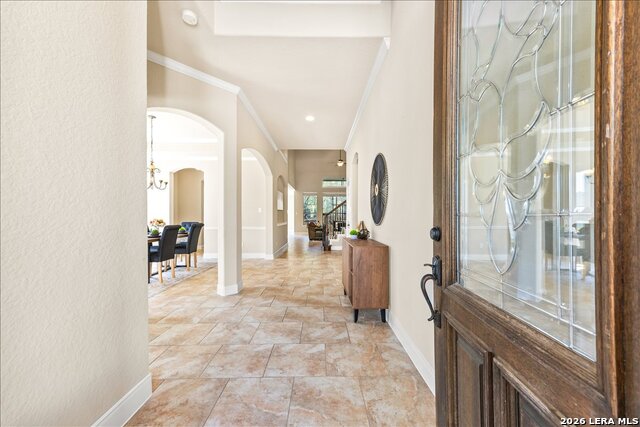 Image 8 of 74 For 3830 Ox-eye Daisy