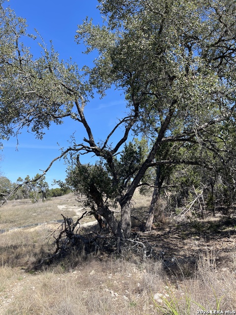 Image 10 of 12 For 2219 Hiline  