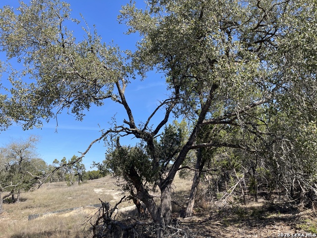 Image 2 of 12 For 2219 Hiline  