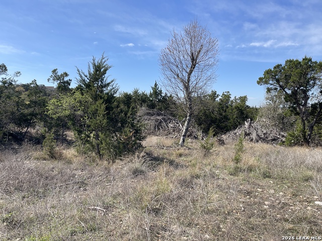 Image 8 of 12 For 2219 Hiline  