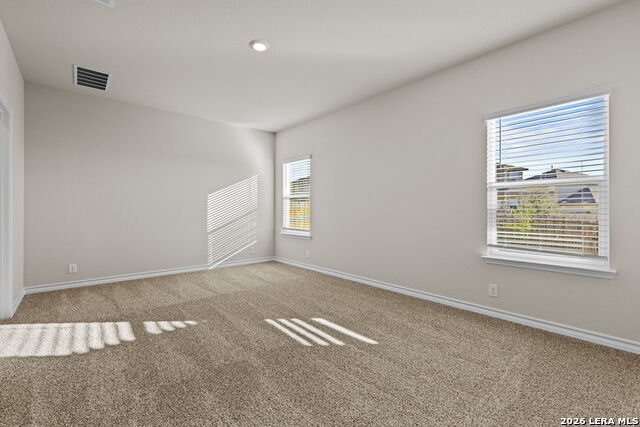 Image 12 of 32 For 212 Hooded Dotterel