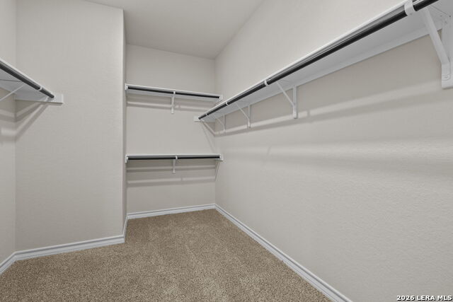 Image 16 of 32 For 212 Hooded Dotterel