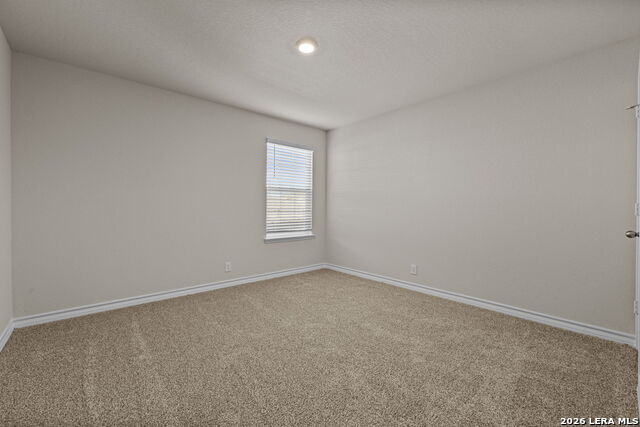 Image 24 of 32 For 212 Hooded Dotterel