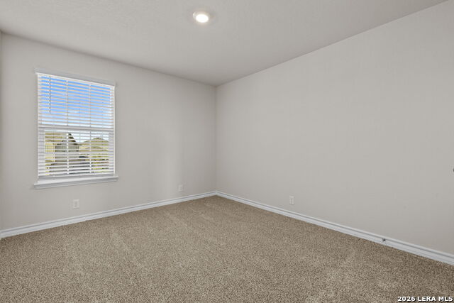 Image 26 of 32 For 212 Hooded Dotterel