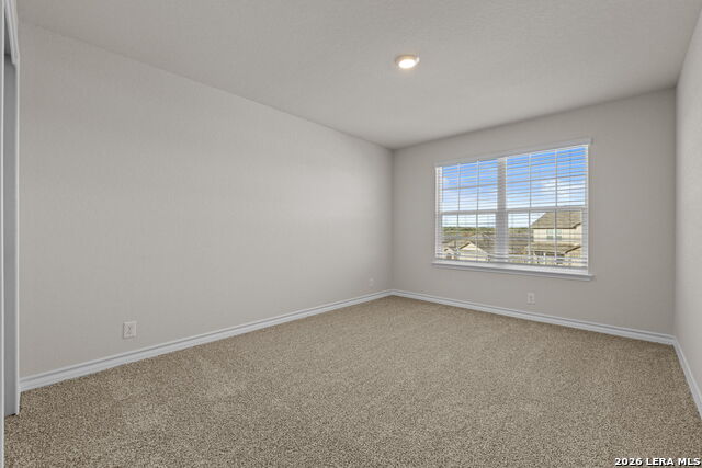 Image 28 of 32 For 212 Hooded Dotterel