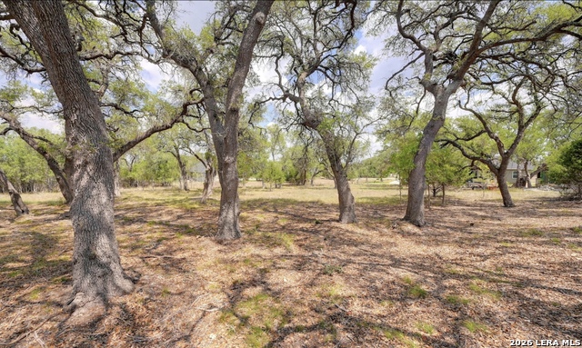 Image 2 of 5 For 107 Calvin Barrett S