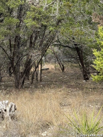 Image 22 of 24 For 1154 Spitz Kegel View