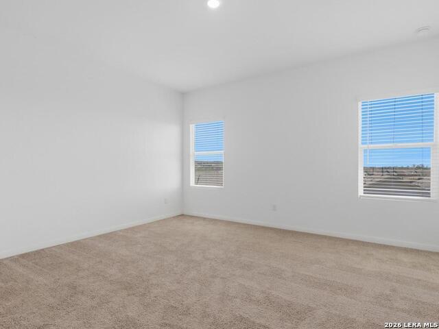 Image 12 of 28 For 12914 Rosemary Bnd